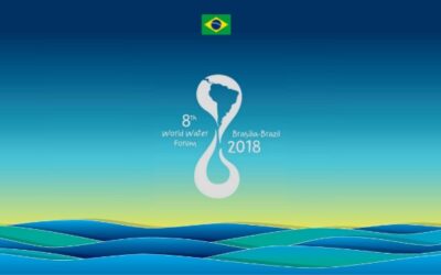 FAMA and WWF8: Two Different Worlds Discussing Water Issues in Brasilia