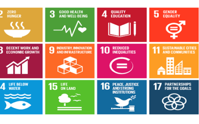 Global Coalition Calls for Withdrawal of SDGs Progress Report